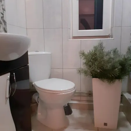 Pensionat Viktoria *